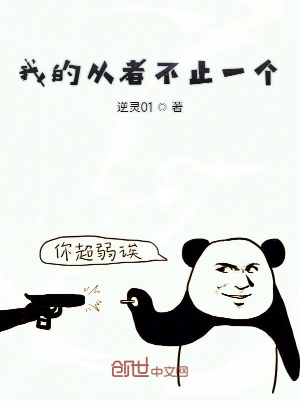 我的从者不止一个