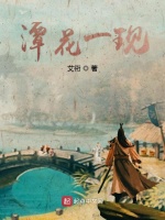 潭花一现封面