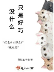 没什么只是好巧在线阅读
