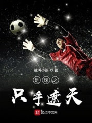 足球之只手遮天在线阅读