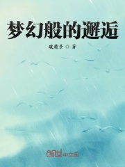 梦幻般的邂逅在线阅读