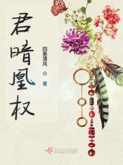 君暗凰权在线阅读