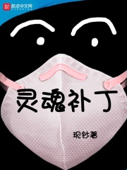 灵魂补丁在线阅读