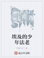 埃及的少年法老封面