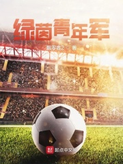 绿茵青年军