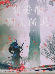 我爱你别无所求