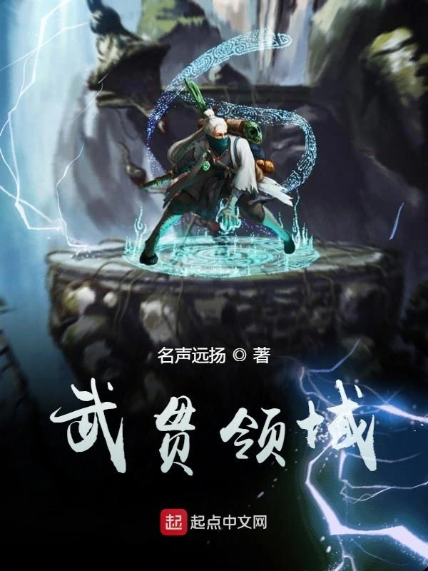 武贯领域