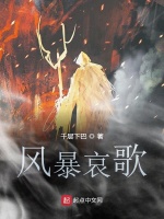 风暴哀歌在线阅读