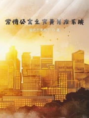 爱情公寓之完美男友系统在线阅读