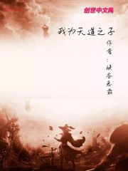 我为天道之子