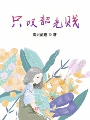只叹韶光贱在线阅读