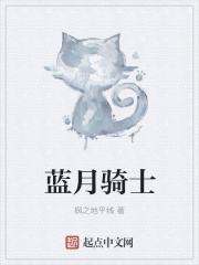 蓝月骑士