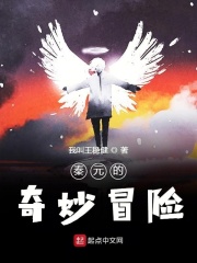 秦元的奇妙冒险在线阅读