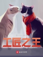 工匠之王在线阅读