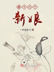 第十六个新娘在线阅读