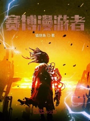 赛博漫游者在线阅读