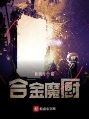 合金魔厨
