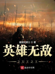 英雄无敌之万王之王在线阅读