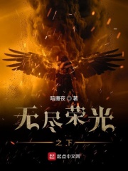 圣光使者的无限之旅在线阅读