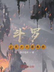 斗罗之天火大道系统在线阅读