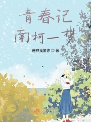 青春记南柯一梦在线阅读