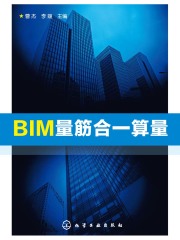 BIM量筋合一算量