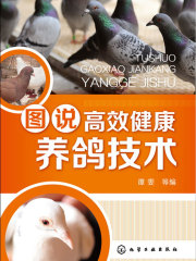 图说高效健康养鸽技术