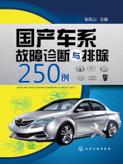 国产车系故障诊断与排除250例