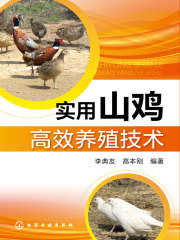实用山鸡高效养殖技术