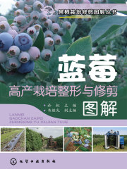蓝莓高产栽培整形与修剪图解