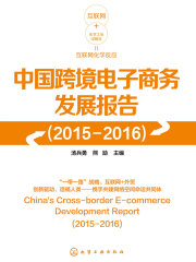 中国跨境电子商务发展报告（2015-2016）