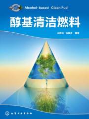 醇基清洁燃料