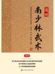 莆田南少林武术