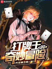 打牌王的奇妙冒险在线阅读