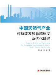 中国天然气产业可持续发展系统标度及优化研究