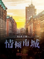情倾南城