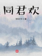 同君欢在线阅读
