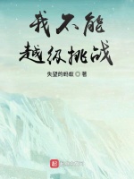 我不能越级挑战在线阅读