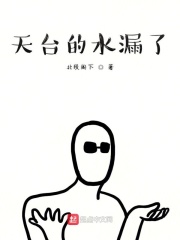 天台的水漏了在线阅读
