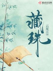 藏珠在线阅读