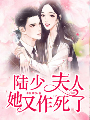 陆少，夫人她又作死了