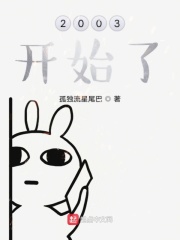 2003之后我路过了文艺界