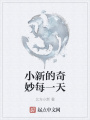 小新的奇妙每一天在线阅读