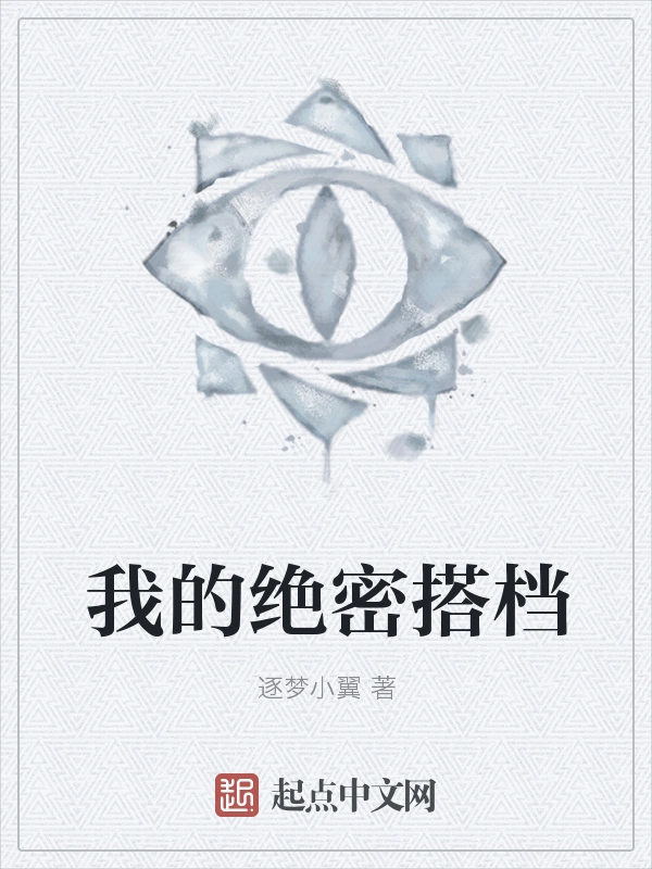 我的绝密搭档