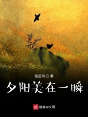 夕阳美在一瞬在线阅读