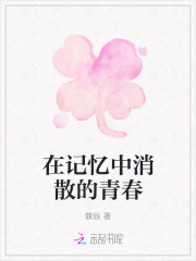 在记忆中消散的青春