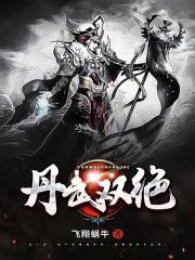 丹武双绝在线阅读