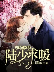 甜婚不腻：陆少，求暖