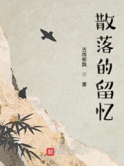 散落的留忆在线阅读