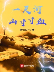 一尺河山寸寸血在线阅读